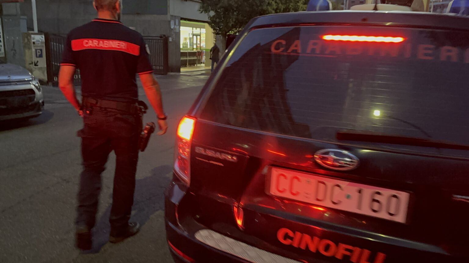 Sicurezza e legalità: il bilancio dei controlli di Polizia e Carabinieri nella provincia di Frosinone