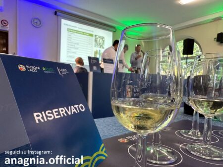Il Lazio del vino che verrà: Arsial presenta la viticoltura sostenibile del futuro a Velletri