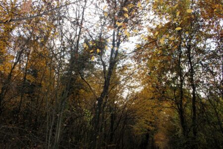 Futuro sostenibile e aree interne: a Frosinone il convegno del Network Re.La.Te.