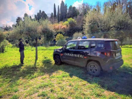 Controlli sugli animali nel Lazio: Carabinieri Forestali vigilano su microchip e benessere