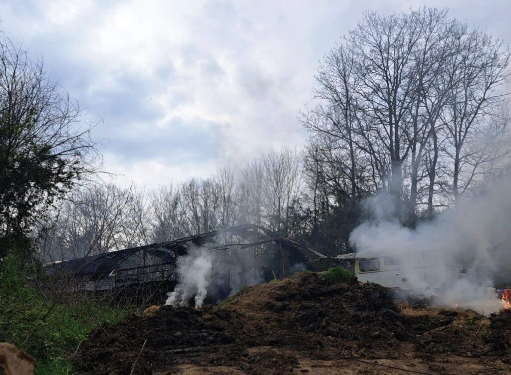 Incendio a Ripi distrugge capannone agricolo, morti circa 80 ovini
