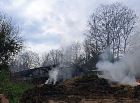 Incendio a Ripi distrugge capannone agricolo, morti circa 80 ovini