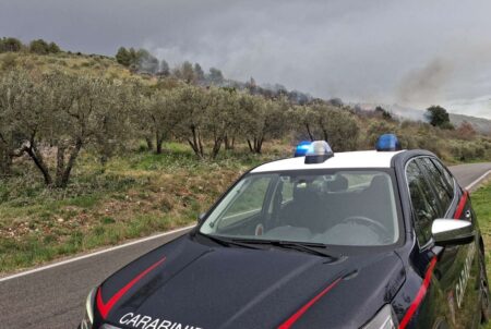 Alatri, incendio tra gli uliveti: denunciato un uomo per rogo colposo