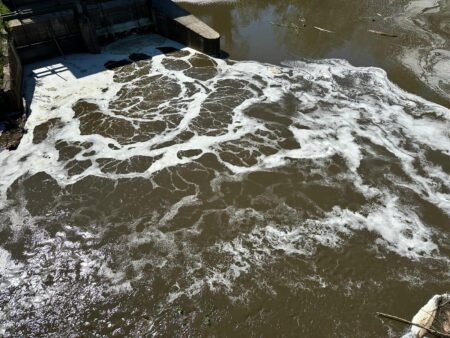 Fiume Sacco, nuova moria di pesci e schiuma tra Ceccano e Falvaterra: scattano controlli e indagini