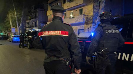 Stalking, armi artigianali e falsi allarmi al 112: le Forze dell’Ordine presidiano la provincia di Frosinone