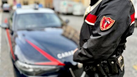 Furti, stalking, truffe e rimpatri: le Forze dell’Ordine non si fermano nella provincia di Frosinone