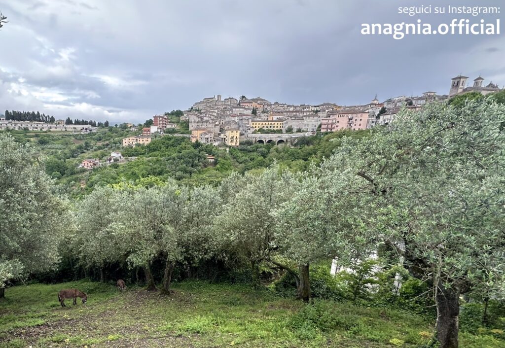Anagni. Verde pubblico: 1000 nuovi alberi e un grande piano di riforestazione urbana