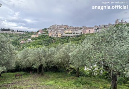 Anagni. Verde pubblico: 1000 nuovi alberi e un grande piano di riforestazione urbana