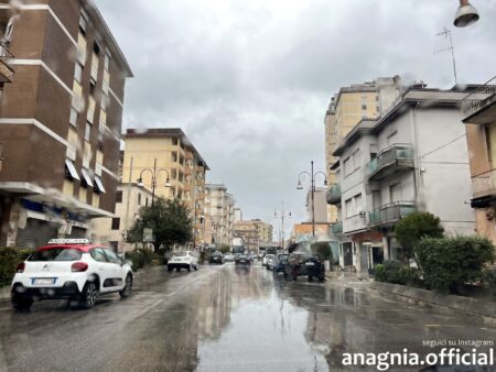 Frosinone, via Aldo Moro si rinnova: 825 piante, irrigazione a goccia e nuovo arredo urbano