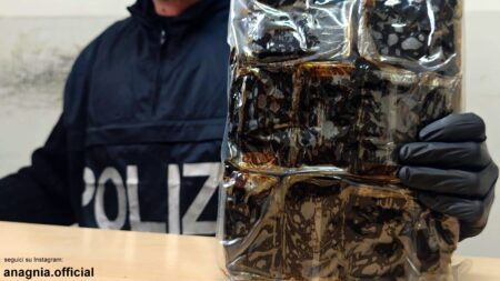 Stretta sulla sicurezza a Roma e provincia: maxi operazioni delle Forze dell’Ordine, travolte le piazze di spaccio e i network del crimine