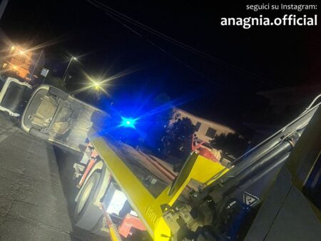 Due incidenti nella notte causati dai cinghiali a Ferentino e Patrica