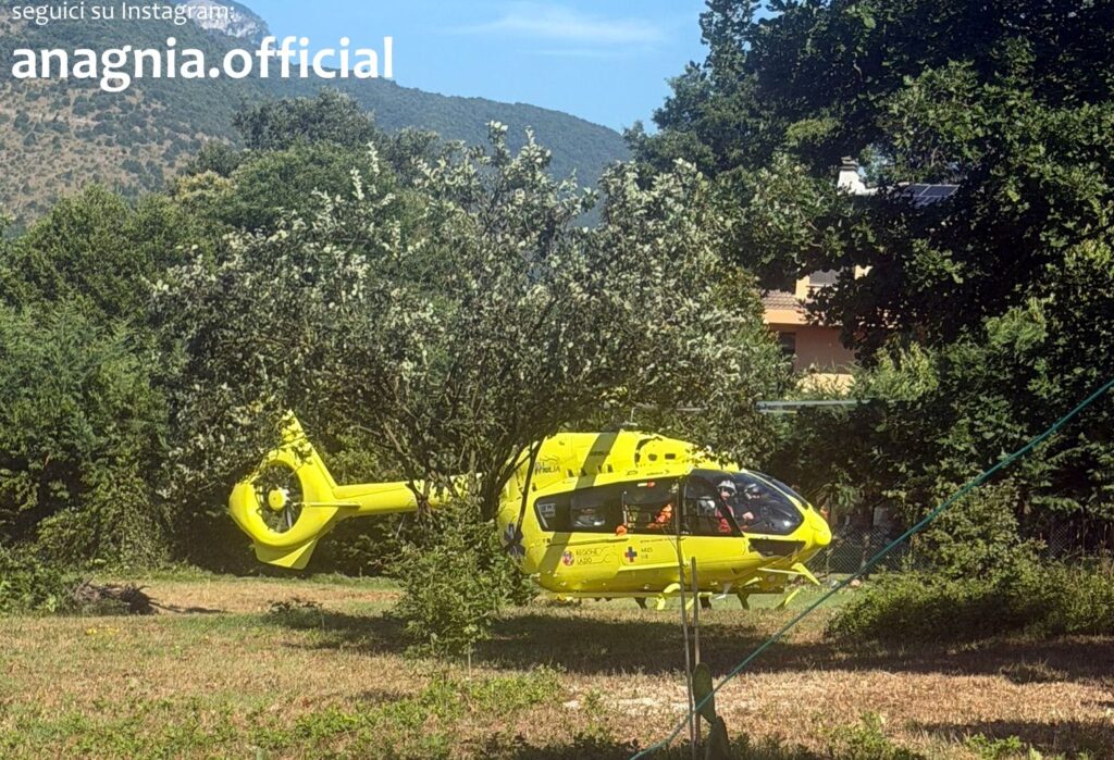 Cade da un albero durante la potatura a Ceccano: uomo elitrasportato a Roma