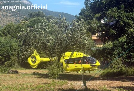 Cade da un albero durante la potatura a Ceccano: uomo elitrasportato a Roma
