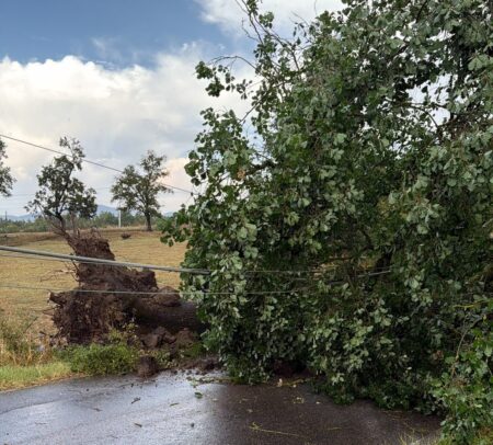 Maltempo tra le province di Frosinone e Roma, venti minuti di violenza atmosferica: danni alle coltivazioni e disagi alla viabilità