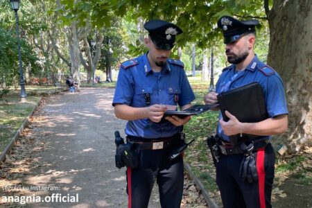 Roma e provincia. Forze dell’Ordine in azione: sei operazioni, decine di arresti e un territorio più sicuro