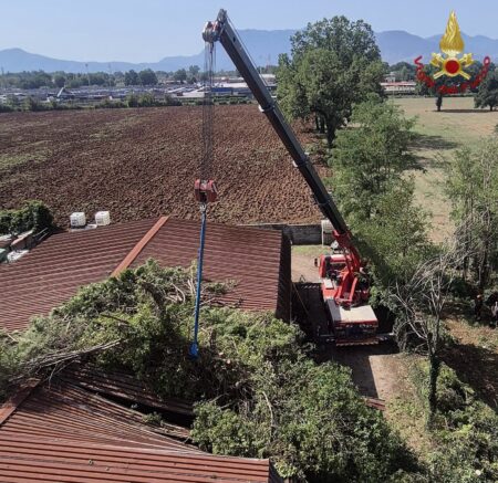 Maltempo nel Cassinate, albero crolla su un capannone a Piedimonte San Germano: 15 interventi dei Vigili del Fuoco