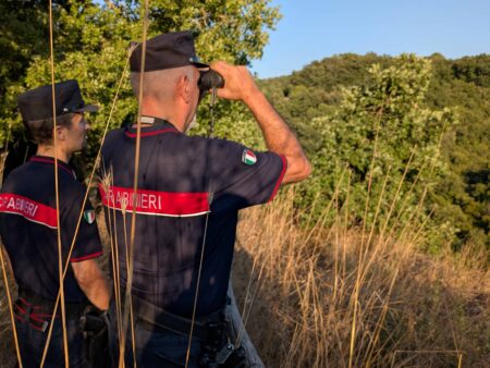 Violenza sessuale nei confronti di due caprette: denunciato operaio 30enne