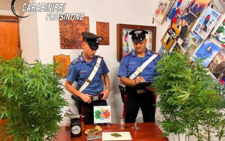 Sgurgola, blitz dei Carabinieri in un appartamento: scoperta una serra indoor di marijuana, un arresto