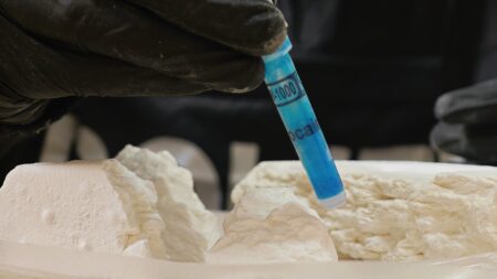 Roma, maxi operazione antidroga tra San Basilio e Tor Bella Monaca: cinque arresti