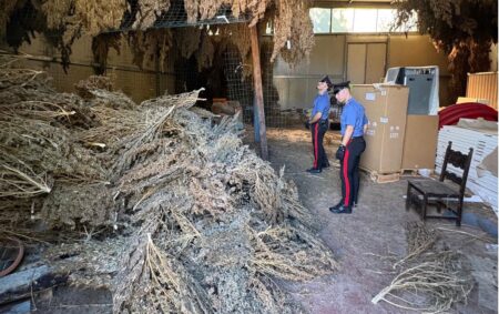 Sezze, maxi operazione dei Carabinieri: un arresto