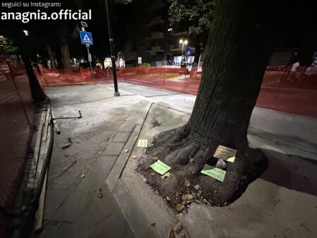 Viale Regina Margherita, aiuole con erba sintetica e lavori attorno agli alberi: ad Anagni scoppia la polemica