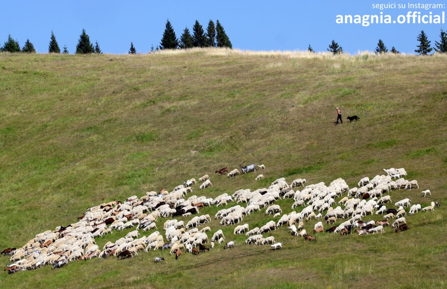 Nasce Lazio Roots: cinque Consorzi uniti per raccontare l’eccellenza enogastronomica del Lazio, dal Cesanese del Piglio all’Abbacchio Romano