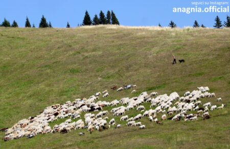 Nasce Lazio Roots: cinque Consorzi uniti per raccontare l’eccellenza enogastronomica del Lazio, dal Cesanese del Piglio all’Abbacchio Romano