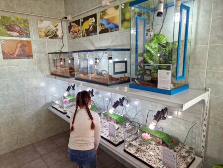 Anagni, al via il progetto educativo “Conoscere per rispettare”, tra animali esotici e biodiversità