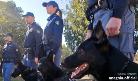 Roma e provincia sotto la lente delle Forze dell’Ordine: arresti, controlli e sequestri in 36 ore da Tor Bella Monaca a Civitavecchia